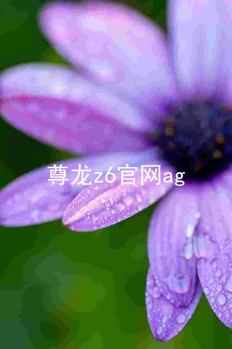 尊龙z6官网ag