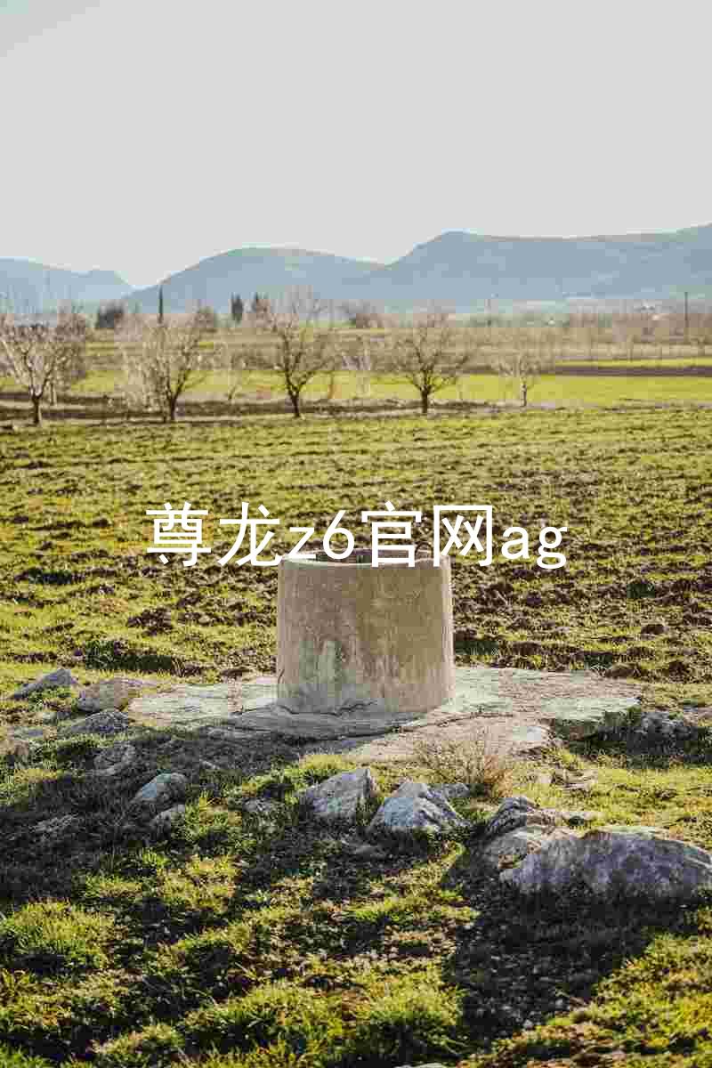 尊龙z6官网ag