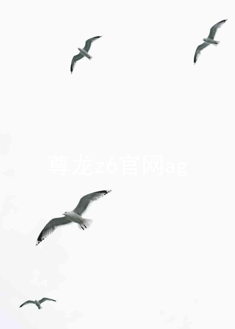 尊龙z6官网ag